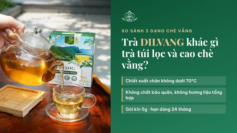 Trà DILVANG khác gì trà túi lọc và cao chè vằng? 6 điểm nên biết trước khi chọn