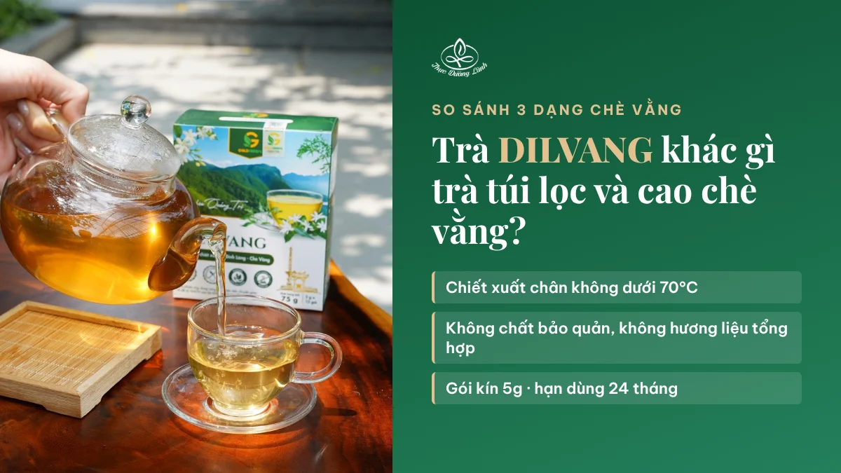 Trà DILVANG khác gì trà túi lọc và cao chè vằng? 6 điểm nên biết trước khi chọn